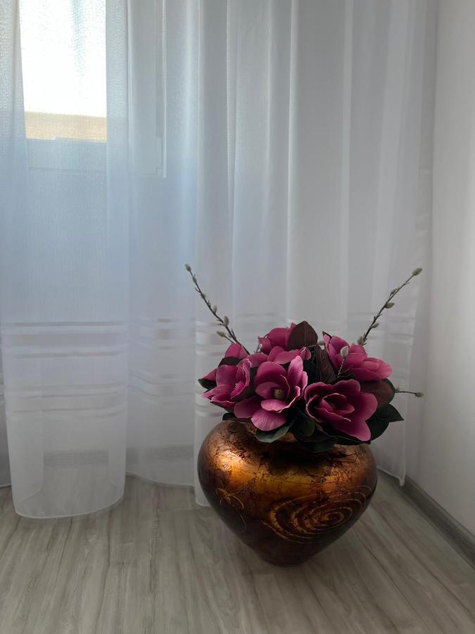Apartament Tudor Орадя Экстерьер фото
